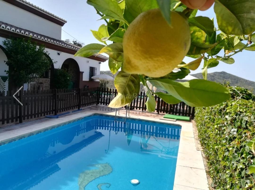 Casa Rural Los Hidalgos Tolatán Exterior foto